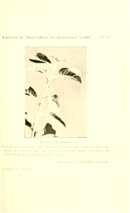 n106_w1150