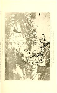 n76_w1150
