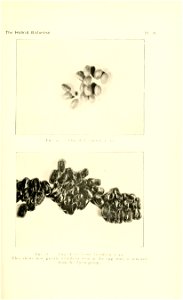 n46_w1150