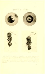 n16_w1150