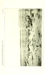 n602_w1150