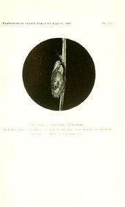 n512_w1150