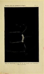 n220_w1150