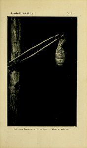 n190_w1150
