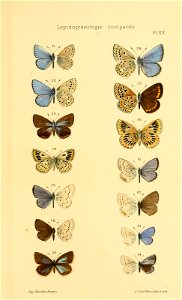 n592_w1150