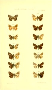 n350_w1150