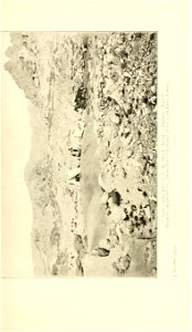 n254_w1150