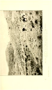 n224_w1150