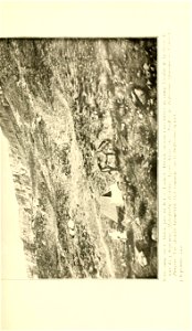 n194_w1150