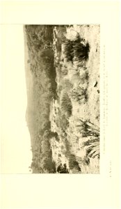 n164_w1150