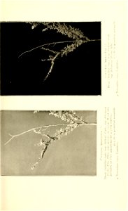 n134_w1150
