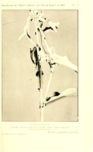 n104_w1150