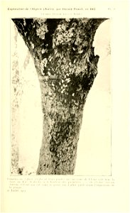 n74_w1150