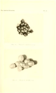 n44_w1150
