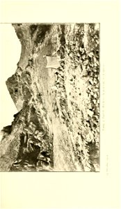 n252_w1150