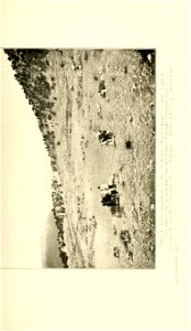 n222_w1150