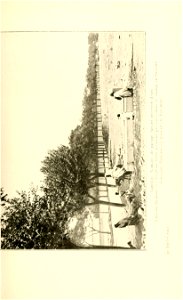 n162_w1150