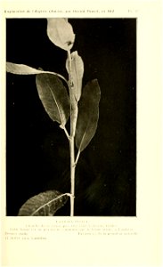 n102_w1150