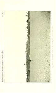 n598_w1150