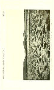 n628_w1150