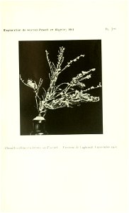 n508_w1150