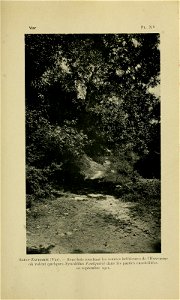 n306_w1150