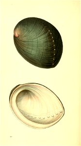 n89_w1150