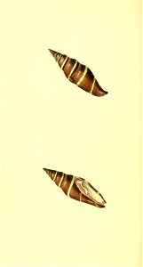 n219_w1150