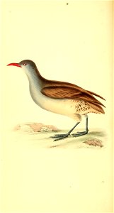 n123_w1150