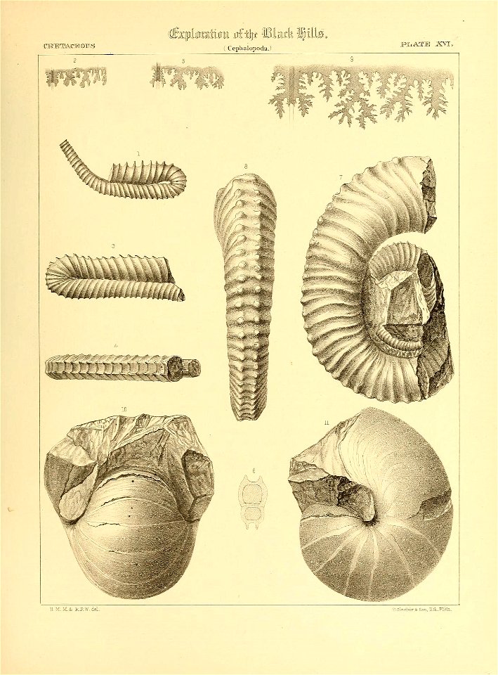 n566_w1150