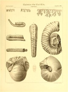 n566_w1150