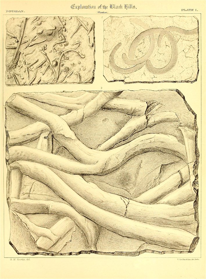 n506_w1150