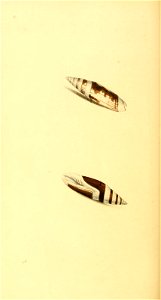 n297_w1150
