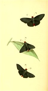 n207_w1150
