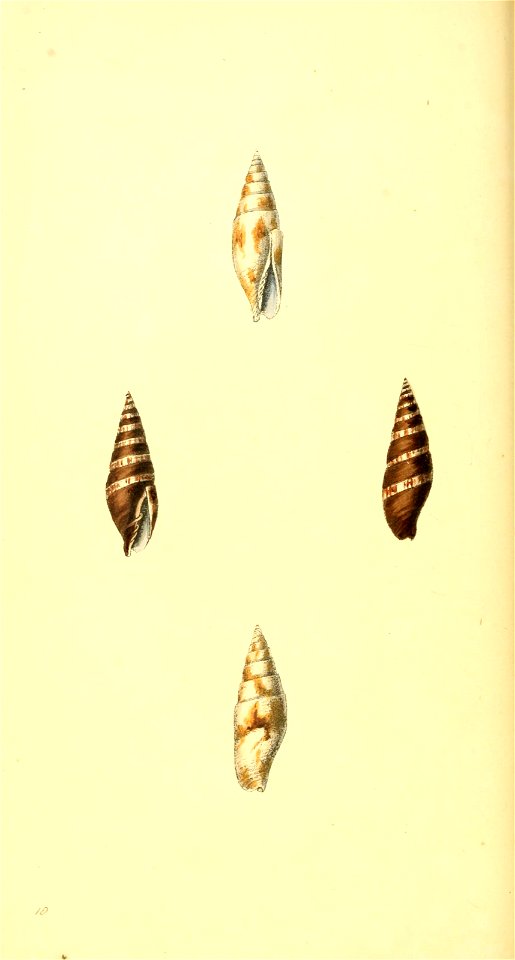 n119_w1150