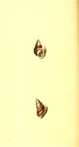n113_w1150