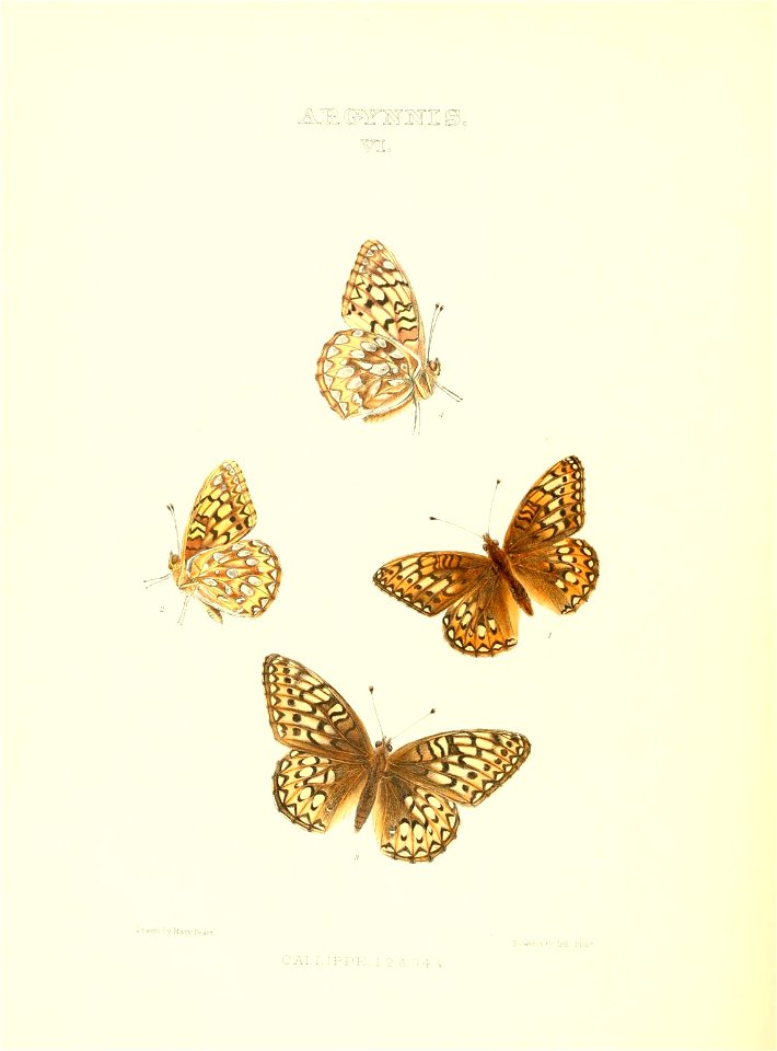 n199_w1150