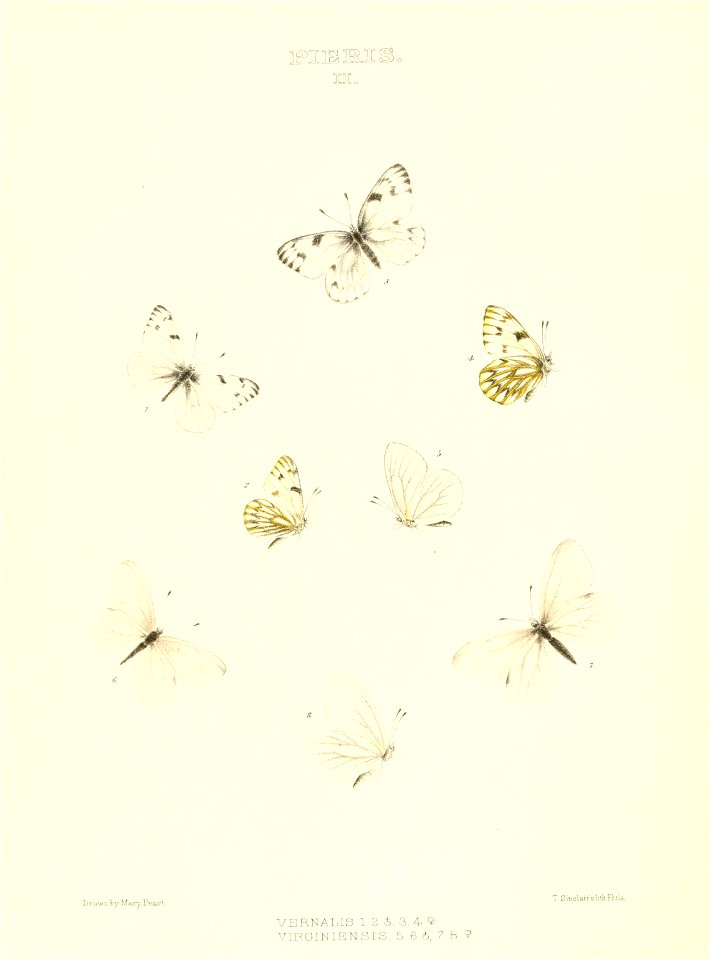 n123_w1150