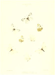 n123_w1150