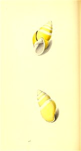 n285_w1150