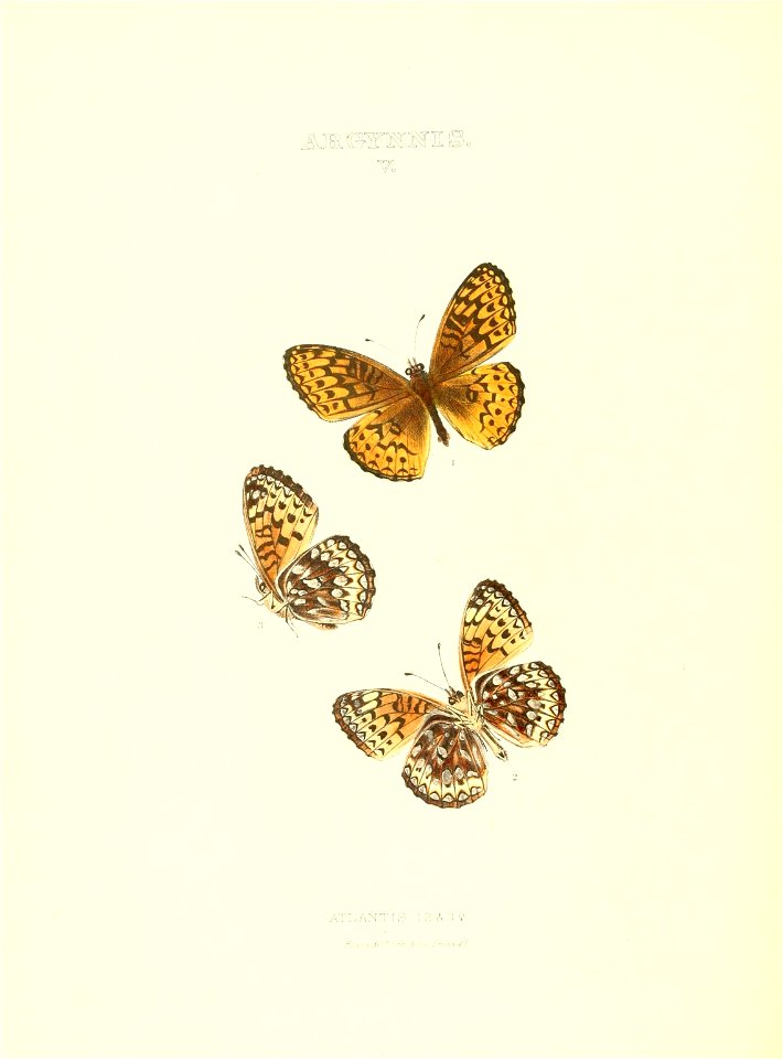 n195_w1150