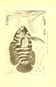 n374_w1150