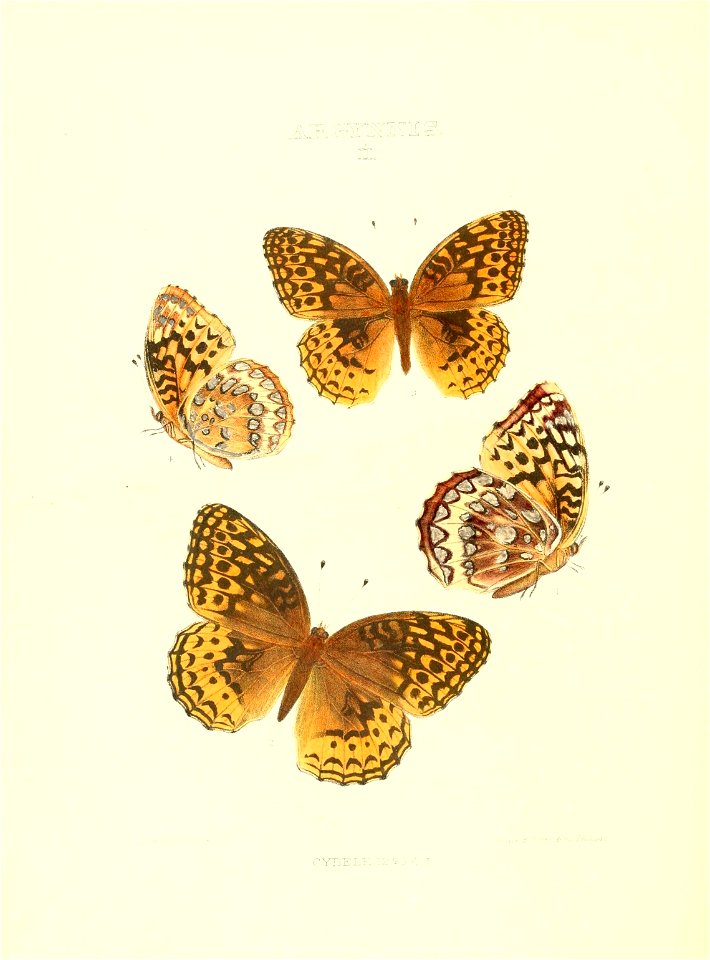 n181_w1150