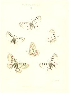 n103_w1150