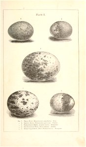 n34_w1150