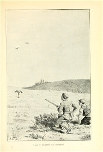 n298_w1150