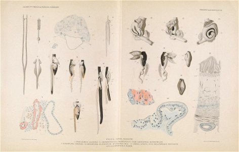 n128_w1150