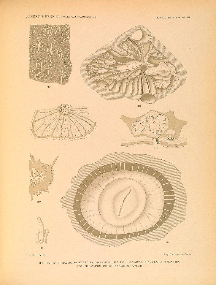 n162_w1150