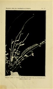 n218_w1150