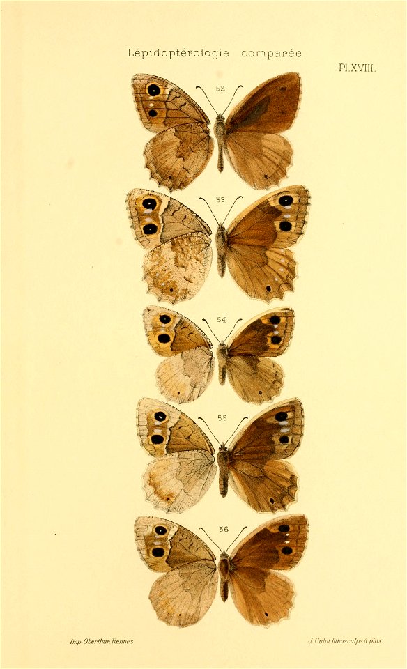 n588_w1150